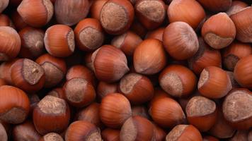 Hazelnut. Live wallpapers اسکرین شاٹ 1