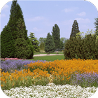 Spring panorama LiveWallpapers-icoon