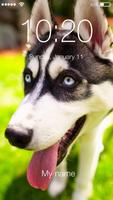 Siberian Husky Dog Lock & AppLock Security पोस्टर
