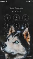 Siberian Husky Dog Lock & AppLock Security ภาพหน้าจอ 1