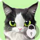 Cat Password Lock Screen Security أيقونة