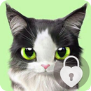 Cat Password Lock Screen Security APK