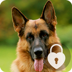 German Shepherd Dog AppLock Security-icoon