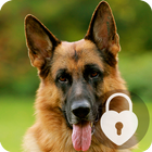 German Shepherd Dog AppLock Security icône