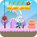 Bunny Run Adventures