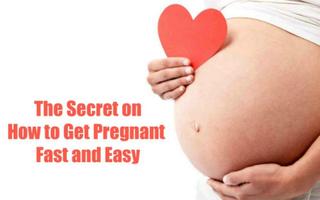 How to Get Pregnant poster