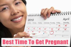 How to Get Pregnant screenshot 2