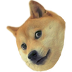 Nyan Doge APK