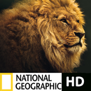 National Geographic : Latest Documentaries HD APK
