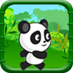 jungle panda run