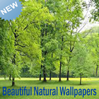 Nature Live HD Wallpaper آئیکن