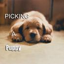 Picking A Puppy APK