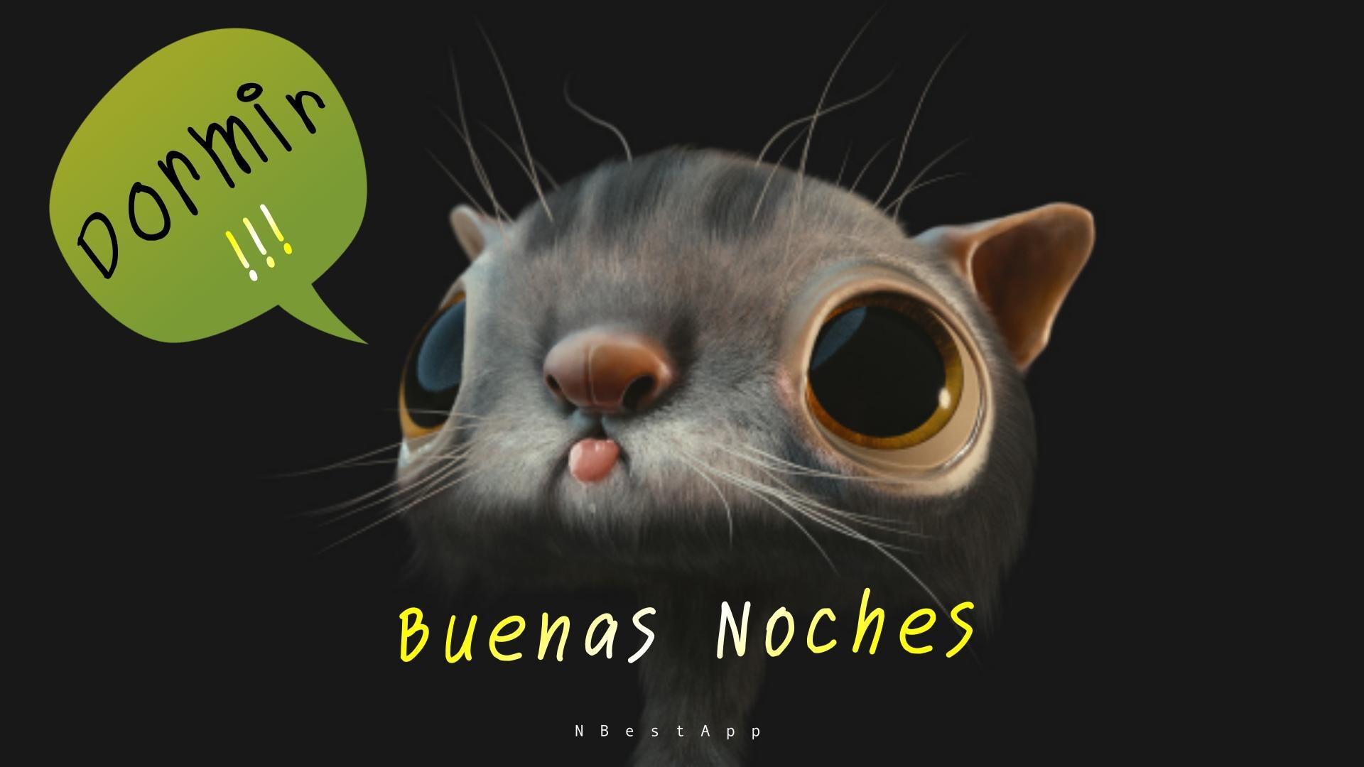 Buenos dias noches Buenos dias noches