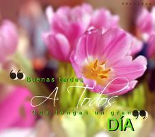 Buenos Dias Tardes Noches پوسٹر