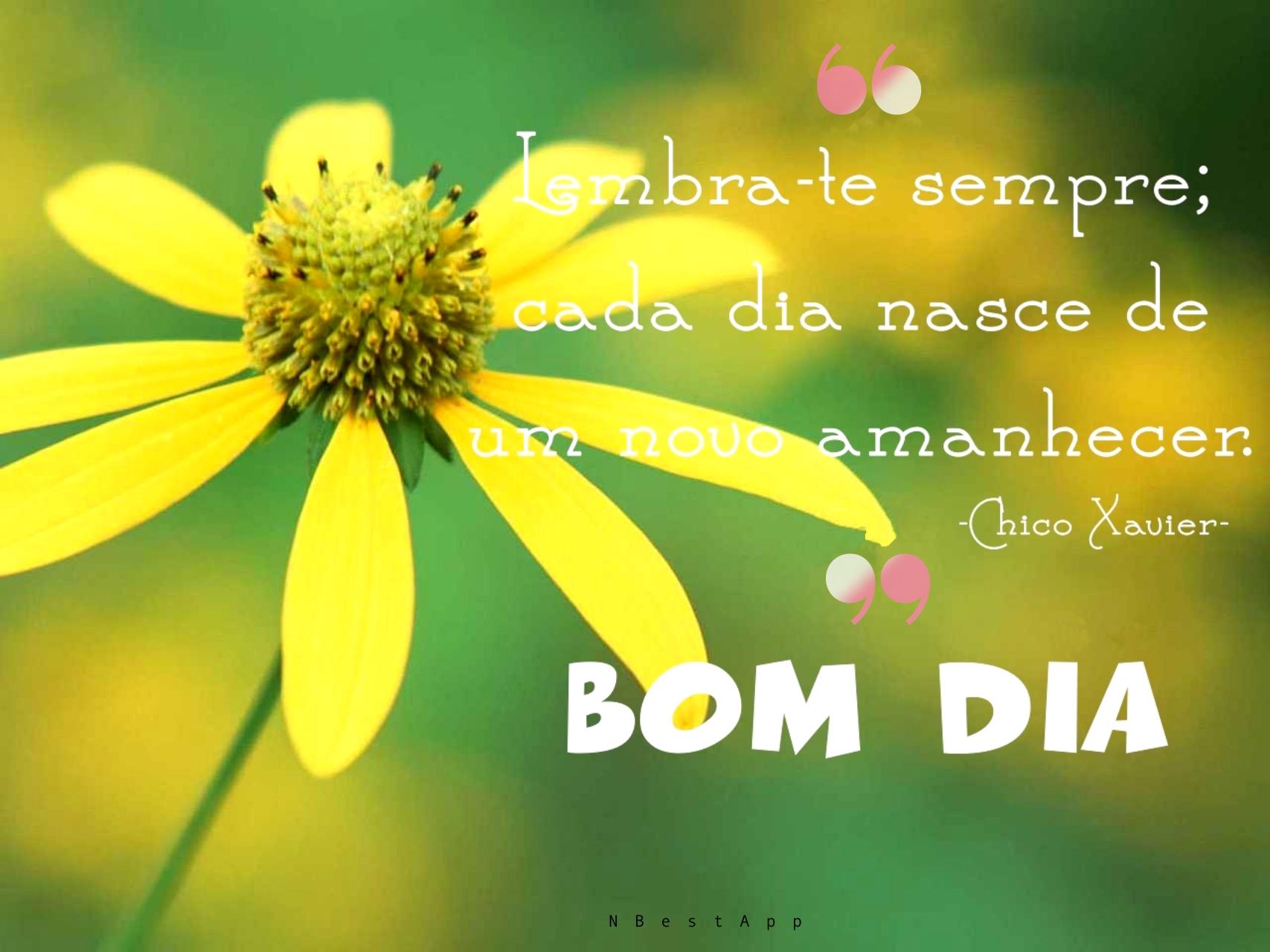 Bom Dia Boa Noite APK for Android – Download Bom Dia Boa Noite APK Latest Version from Bom Dia Boa Noite APK for Android – Download Bom Dia Boa Noite APK Latest Version from