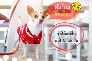 สวัสดีตอนเช้า อรุณสวัสดิ์ скриншот 2