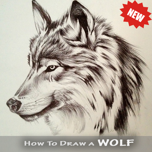 Wolf Drawing