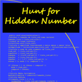 Hunt for Hidden Number