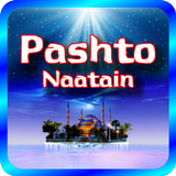 Pashto Naatain icône