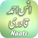 Anus Ahmed Khan Qadri Naatain APK