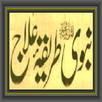 Tibe Nabvi APK