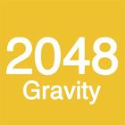 2048 Gravity icône