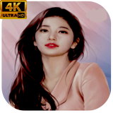 Bae Suzy Wallpapers 4k biểu tượng