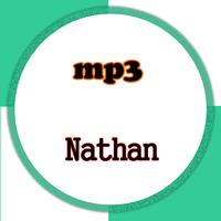 Nathan Fingerstyle Guitar Cover mp3 capture d'écran 1