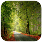 Nature Wallpapers HD biểu tượng