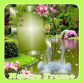Nature Frame