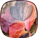 Herbst Live-Hintergründe APK