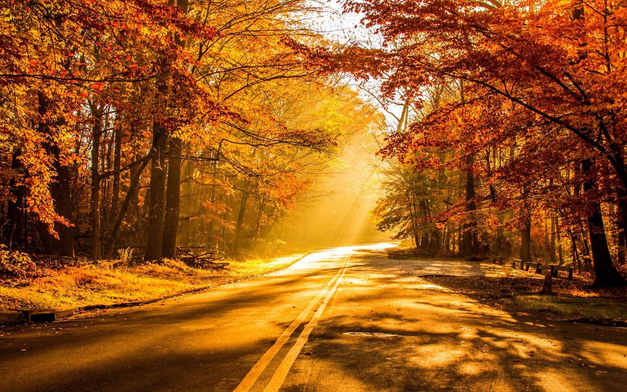 Autumn Live Wallpaper APK Download - Free Personalization ...