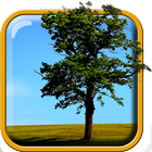 Nature Live Wallpaper ไอคอน