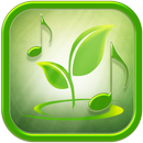 大自然聽起來睡覺和放鬆 APK