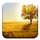 Nature Wallpaper simgesi