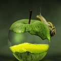 Nature Wallpapers
