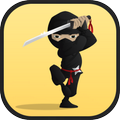 Ninja Warrior Shadow Adventure
