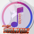 Nedeljko Bajic All Songs APK