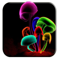 Neon Wallpapers