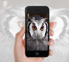 New Owl Fonds d'écran capture d'écran 1