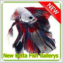 New Betta Fish Gallery aplikacja