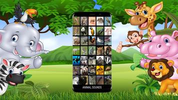 Animals Sounds screenshot 2