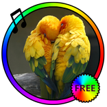 Bird Sounds Ringtones Free