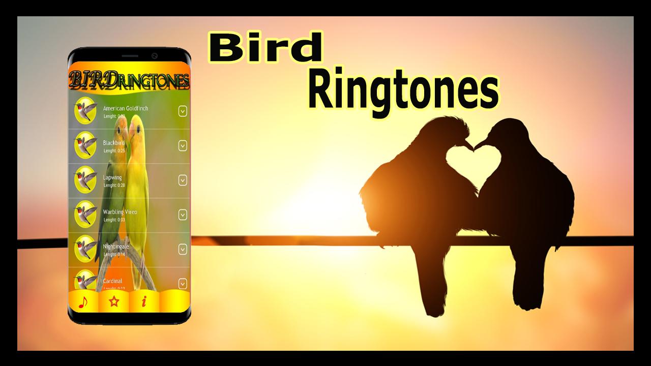 Bird Sounds and Ringtones. АРКАЙДА - птичка.mp3. Bird Sound.