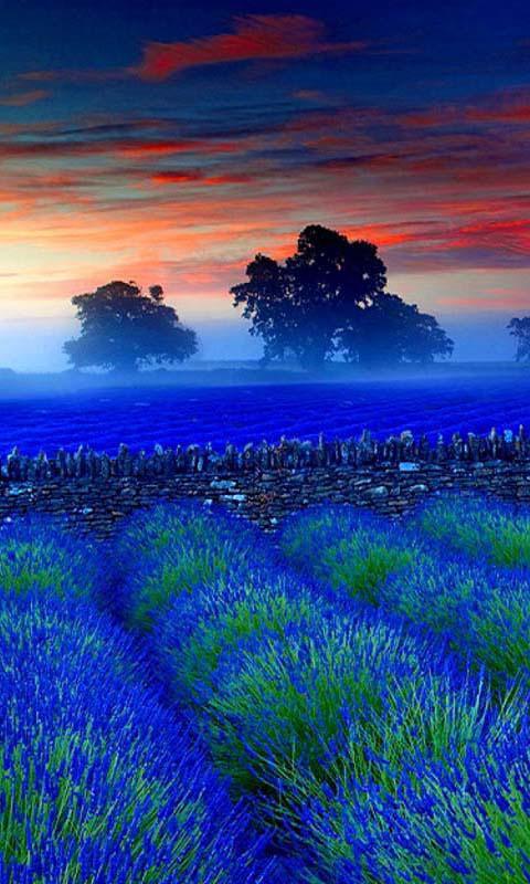3D Scenery Wallpaper APK for Android Download 3D Scenery Wallpaper APK for Android Download