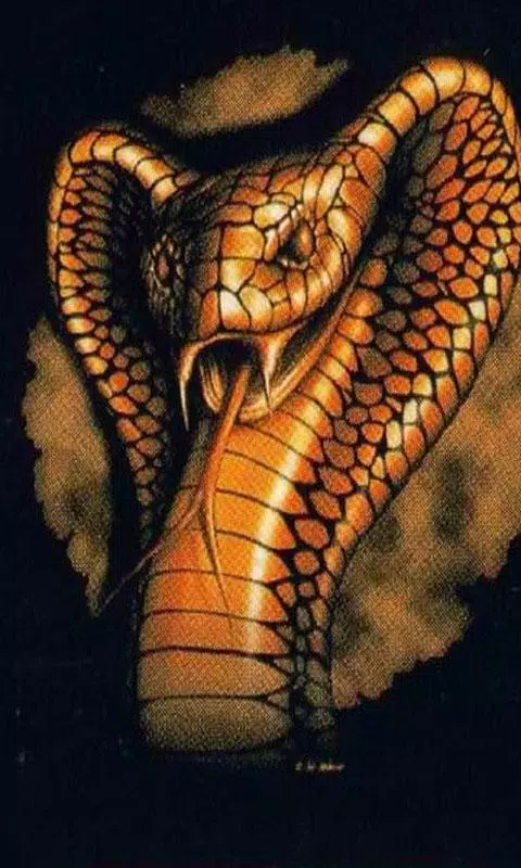 Snake Wallpaper APK for Android Download Snake Wallpaper APK for Android Download