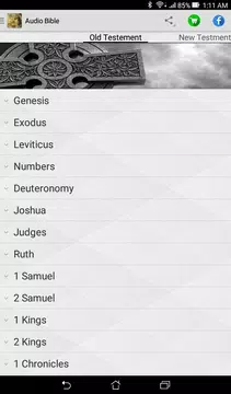 Screenshot 1 for Bible Audio Niv