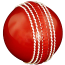 Cricket Coaching Tutorials APK