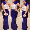 ASO EBI Nigerian Lace Short Gown Styles