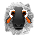 Sleepy Sheep